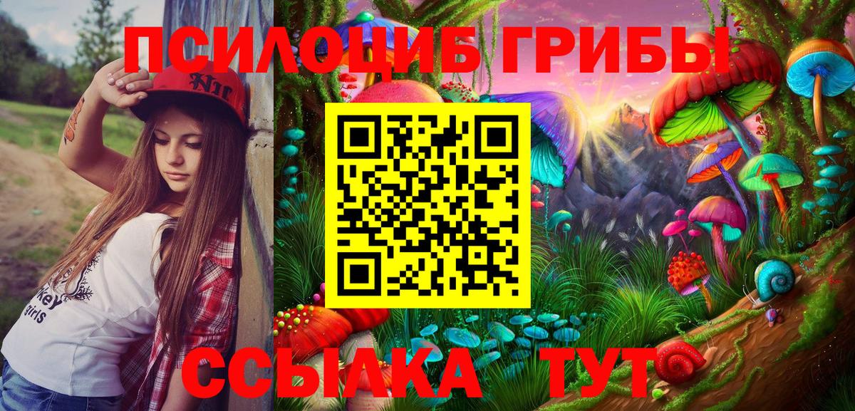 наркота  Галлюциногенные грибы Psilocybe  Балтийск  Вход с VPN  Псилоцибиновые грибы Magic Shrooms 