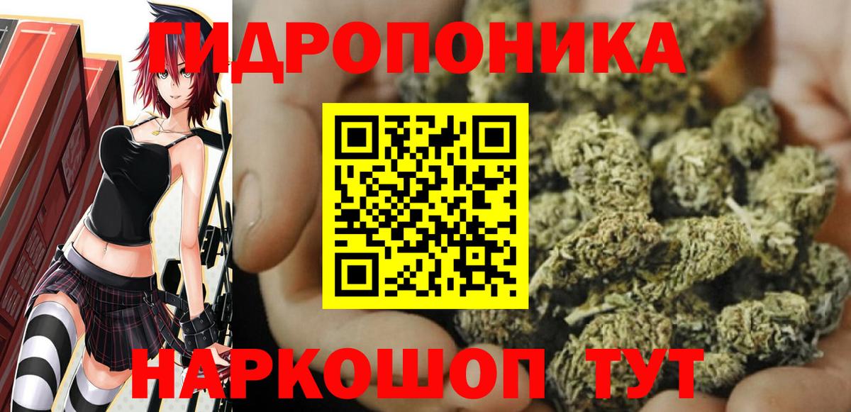 Конопля Bruce Banner Балтийск
